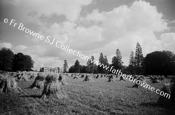 HARVESTING AT ST MARY'S  SHOWING HOUSE EMO COURT